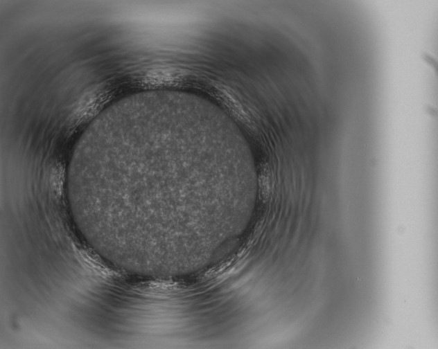 X0000096490458200802141750