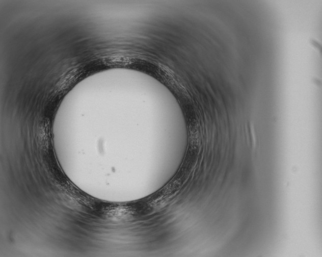 X0000096490460200802141750