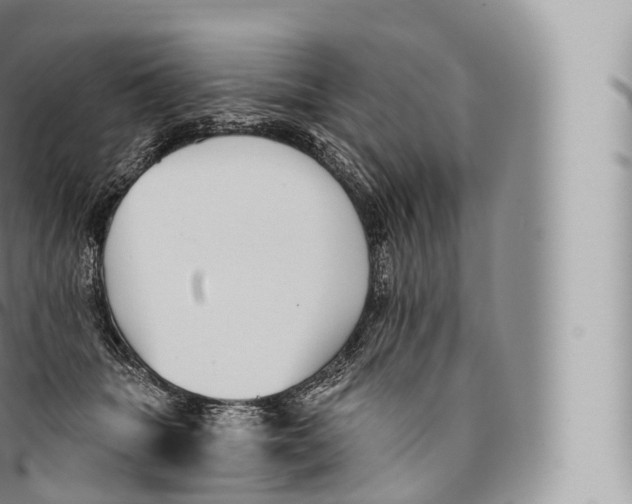 X0000096490463200802141750