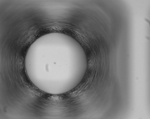 X0000096490464200802141750