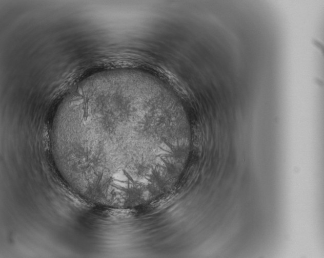 X0000096490465200802141750