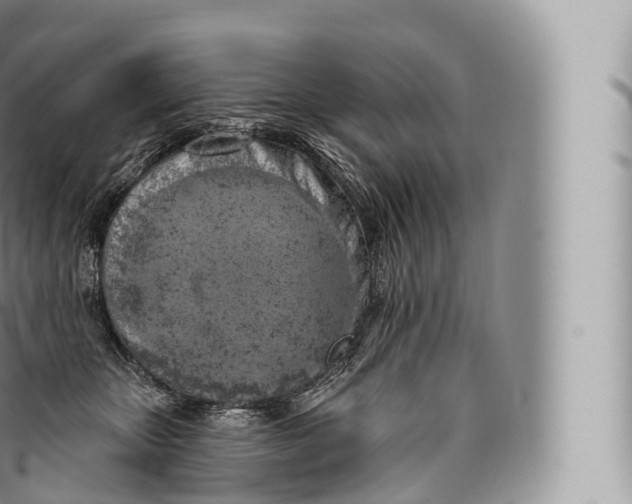 X0000096490467200802141750