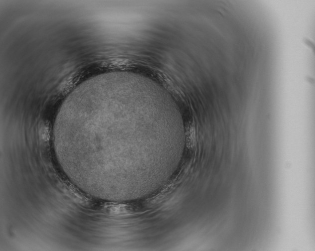 X0000096490472200802141750