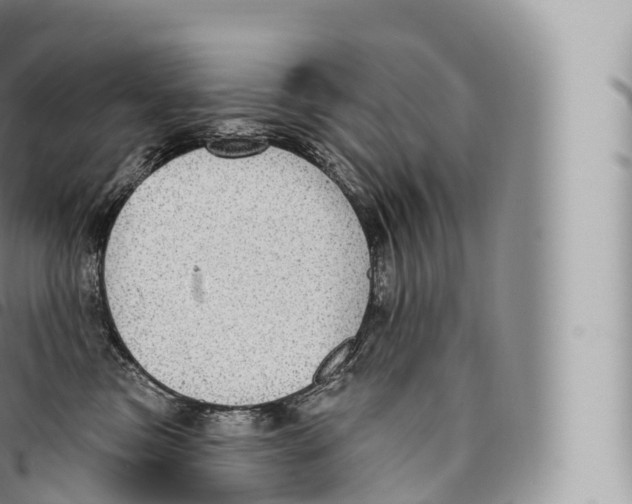 X0000096490473200802141750