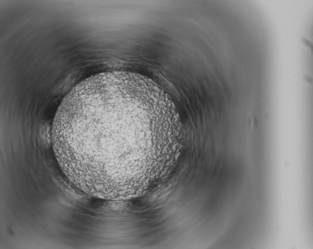 X0000096490479200802141750