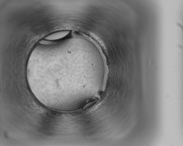 X0000096490481200802141749