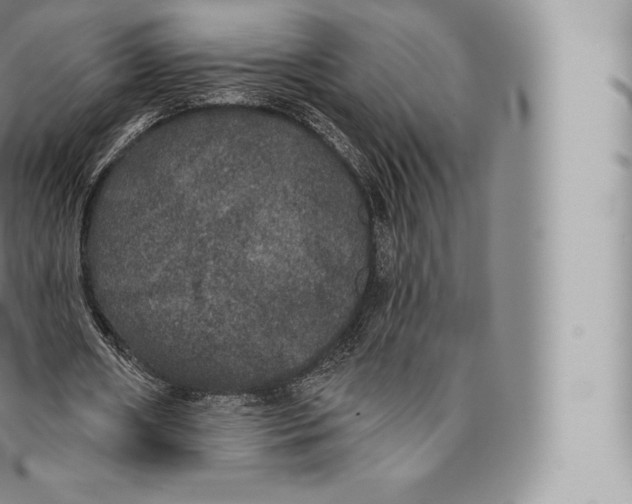 X0000096490482200802141749