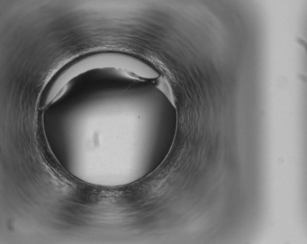 X0000096490484200802141749