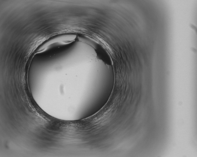 X0000096490485200802141749