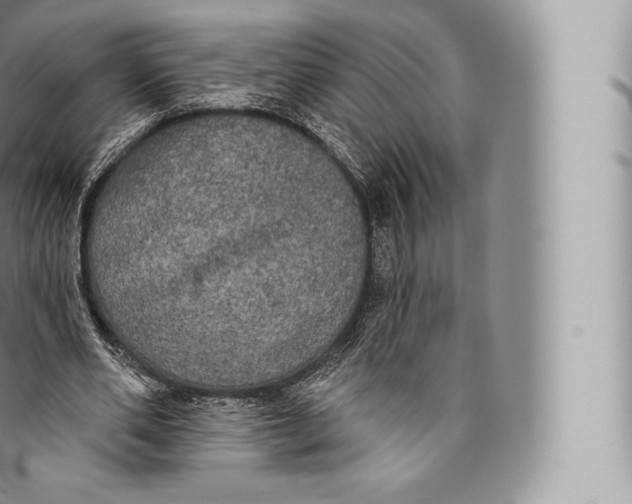 X0000096490486200802141749