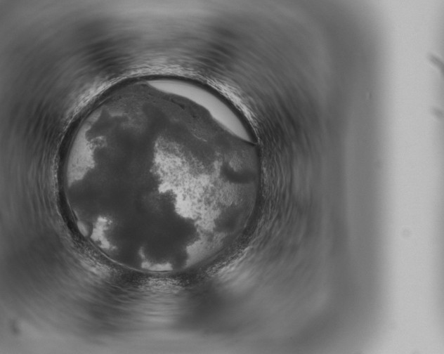 X0000096490487200802141749