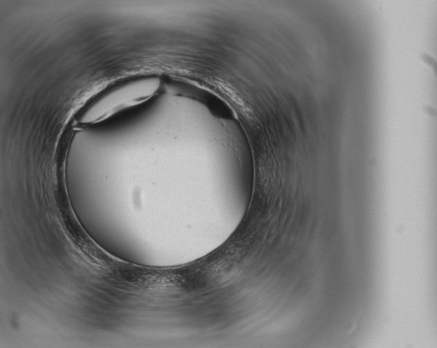 X0000096490488200802141749