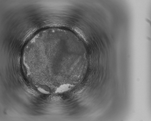 X0000096490491200802141749