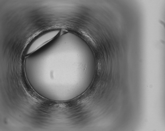 X0000096490492200802141749