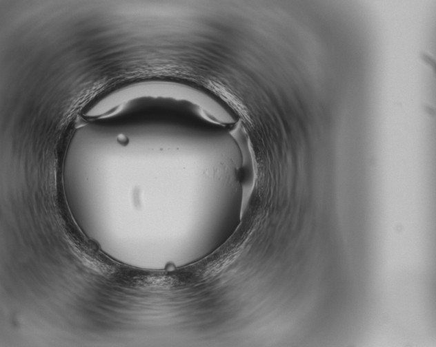 X0000096490493200802141749