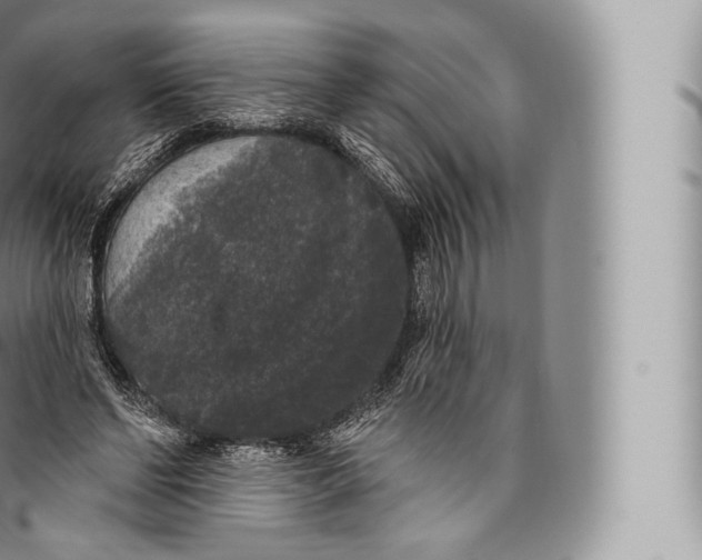 X0000096490494200802141749