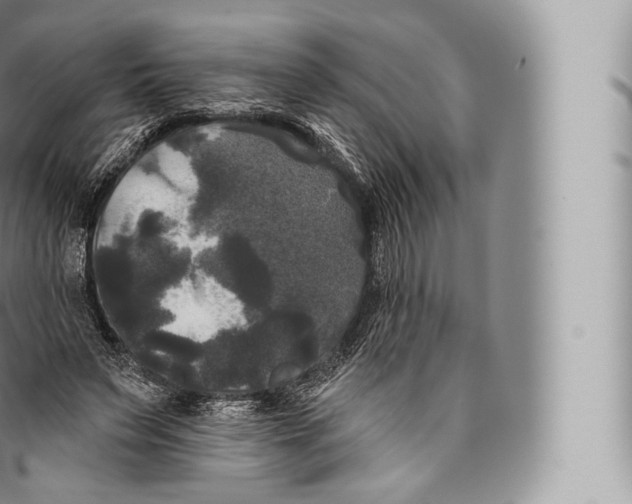 X0000096490495200802141749