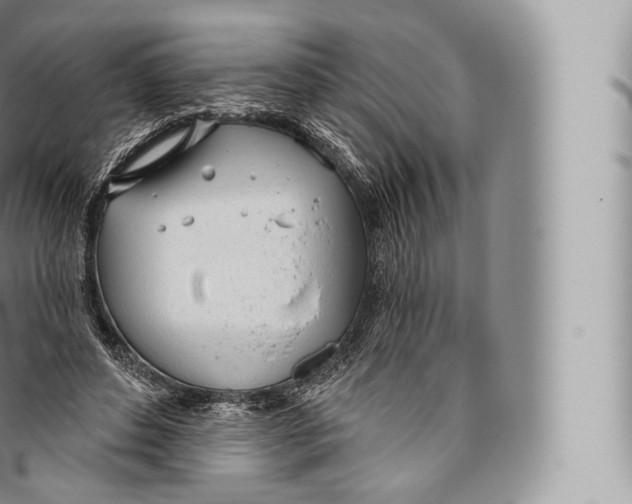 X0000096490496200802141749