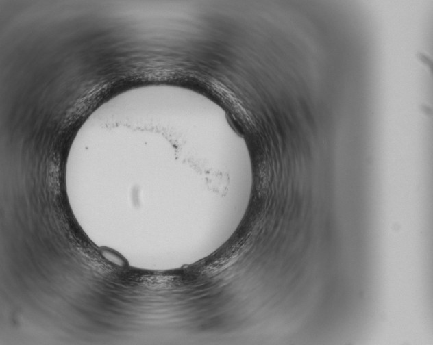 X0000096490497200802141749