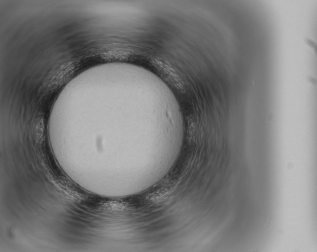 X0000096490498200802141749