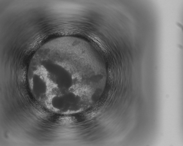 X0000096490499200802141749