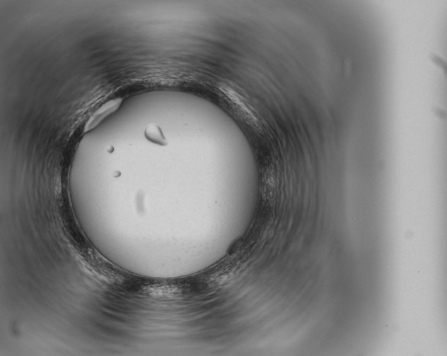 X0000096490500200802141749