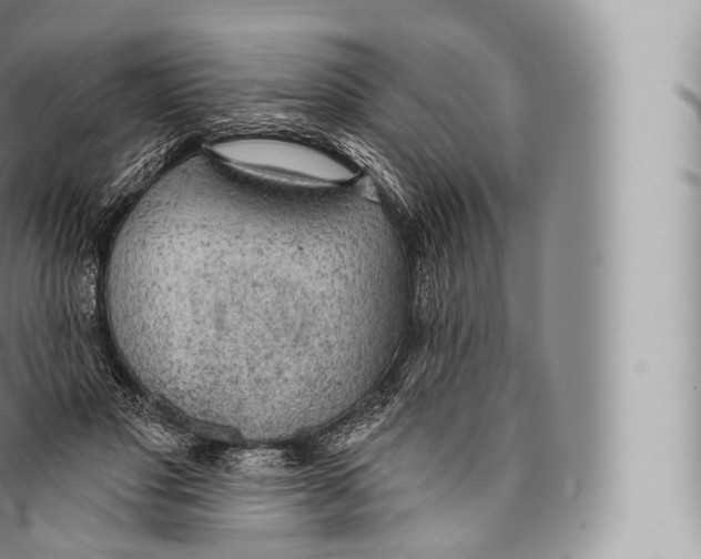 X0000096490501200802141749