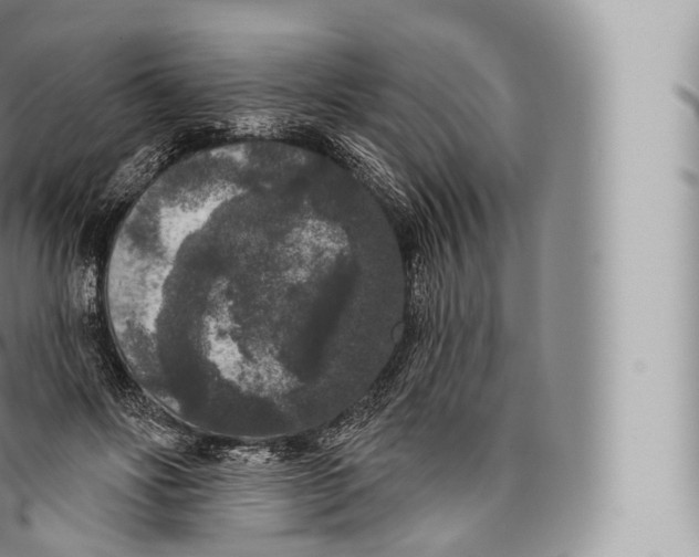 X0000096490502200802141749