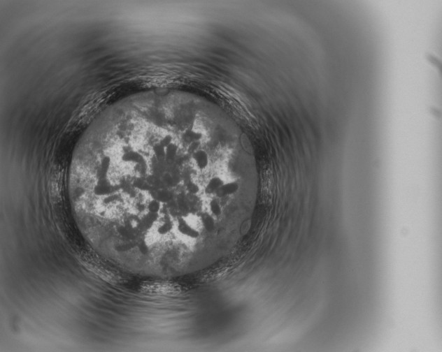 X0000096490503200802141749