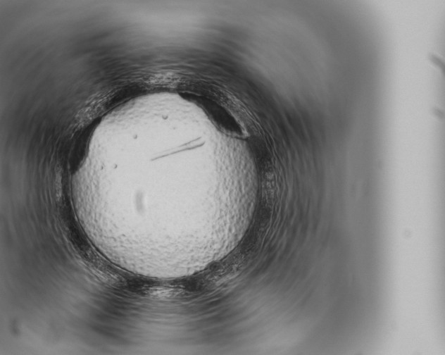 X0000096490504200802141749