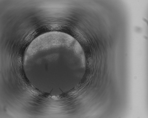 X0000096490506200802141749