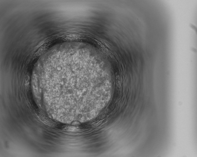 X0000096490507200802141749