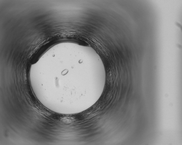 X0000096490508200802141749