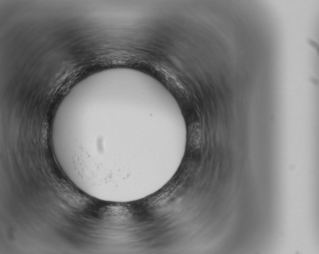 X0000096490509200802141749