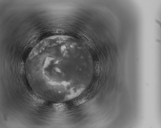 X0000096490511200802141749