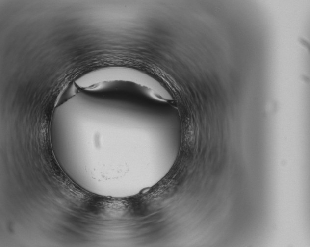 X0000096490513200802141749