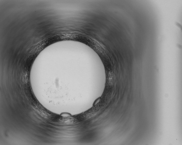 X0000096490514200802141749