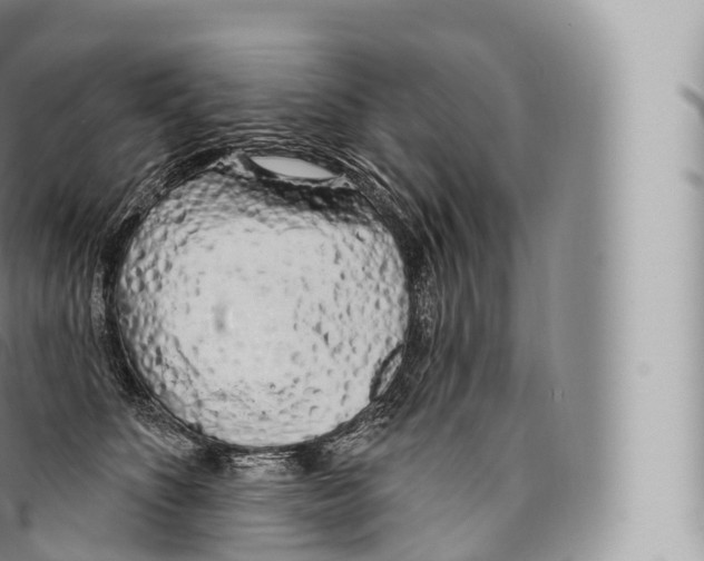 X0000096490516200802141749