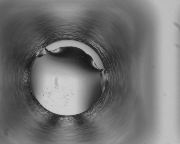 X0000096490517200802141749