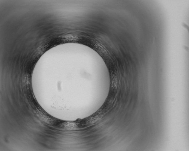 X0000096490518200802141749