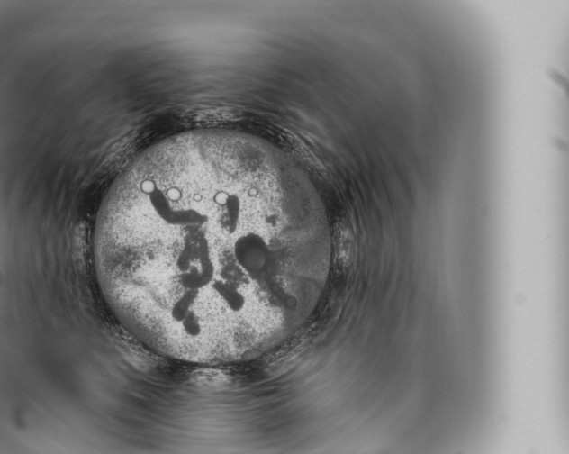 X0000096490519200802141749