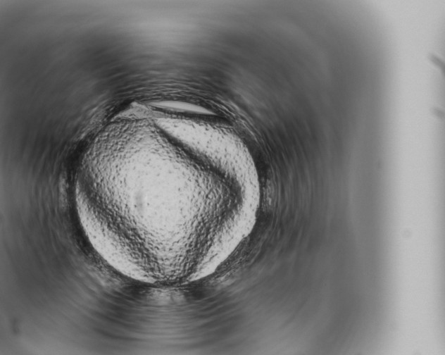 X0000096490520200802141749