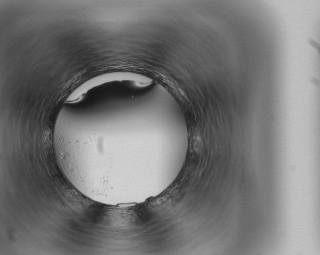 X0000096490521200802141749