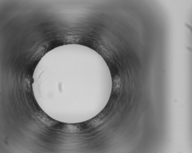 X0000096490522200802141749