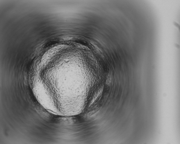 X0000096490524200802141749