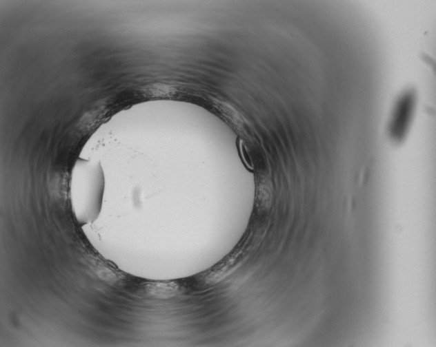 X0000096490525200802141749