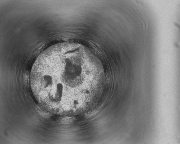 X0000096490527200802141749