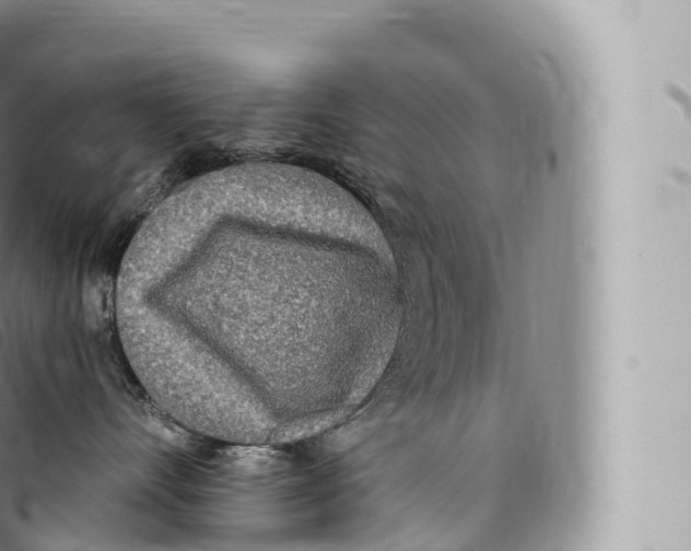 X0000096490528200802141749