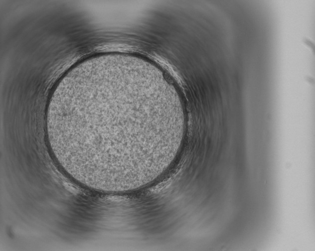 X0000096490529200802141748