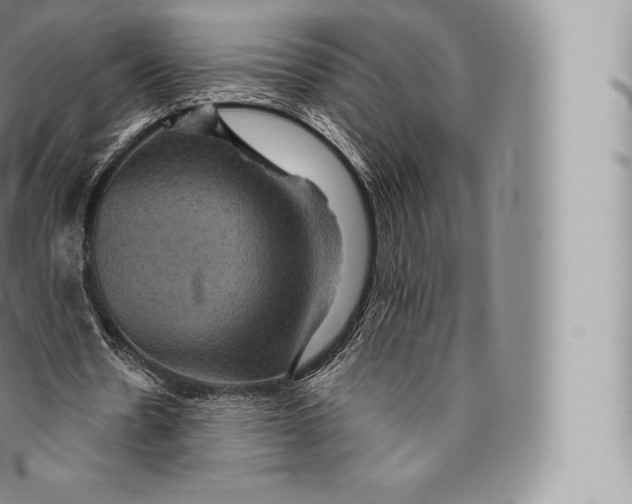 X0000096490530200802141748